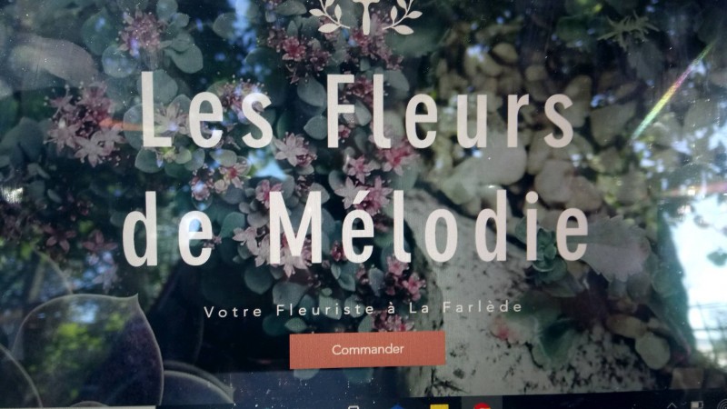 Quel fleuriste choisir pour la sépulture d'un membre de ma famille à proximité de Toulon