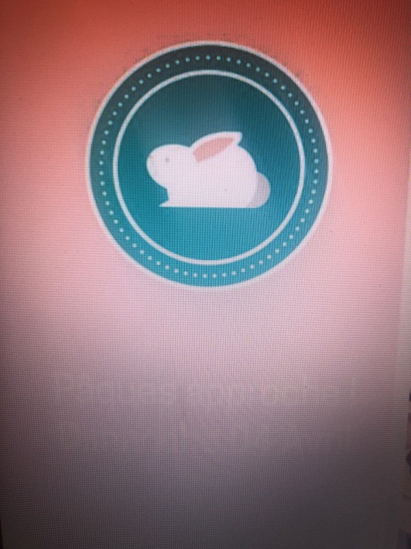 Où trouver un artisan chocolatier à Draguignan