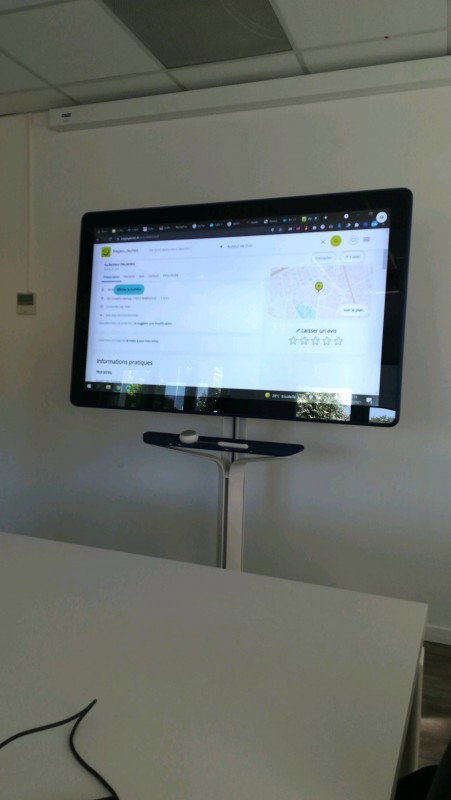 Faire appel à un professionnel pour création de jardin avec un palmier à Aubagne