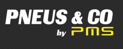 Vente de pneus été et hiver à Mireval : PMS Pneus, votre partenaire en sécurité routière