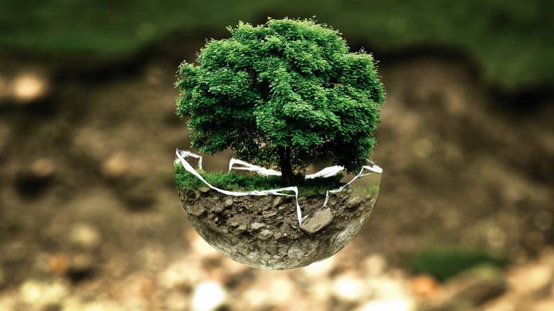 environmentalprotection6834371280jpg_5d68f3eaae4e8.jpg