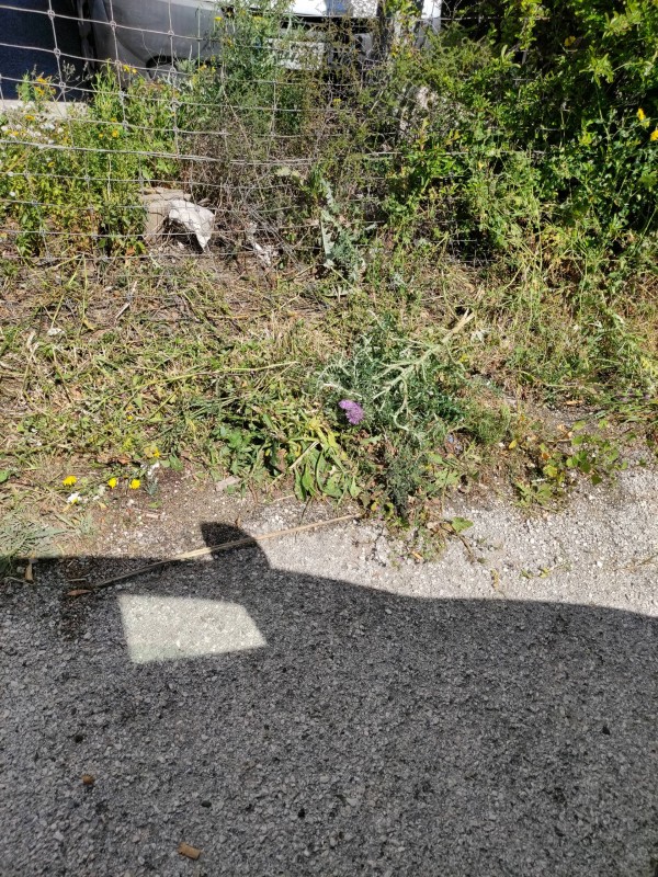 Entreprise de terrassement pour construction neuve à Hyères
