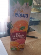 Baptême de chute libre en toute sécurité à Gap dans les Hautes-Alpes